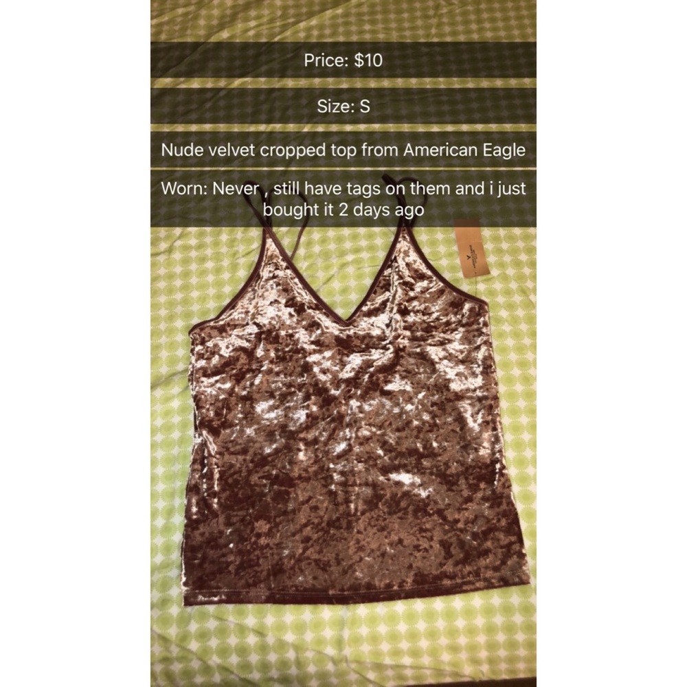 Nude velvet cropped top